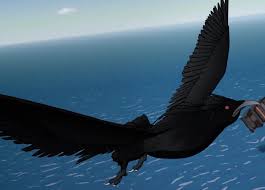 Many celebrities have animals like names. Qrow Branwen Rwby Wiki Fandom