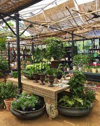 Verdant Greenery In Our Garden Shop Visit Us For Advice And To Gather Inspiration As We Move Into The Su Garden Shed Interiors Garden Shed Diy Amazing Gardens