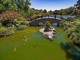 Did You Know Woodward Park Is Home To One Of Fresno S Most Beautiful Gardens Discover The Concentrated Beauty Fresno California Fresno Most Beautiful Gardens