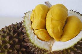 Genting durian festival has 50 tonnes of musang king, xo & black thorn durians till sep 2019. 12 Types Of Durians And How To Pick The Best Durian Blog Youtrip Singapore