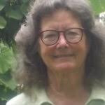 Turning Florida's rural lands into urban sprawl is a tragedy worthy of  Shakespeare • Florida Phoenix