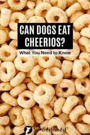While the plain oat assortment of this cereal is low in sugar and is recommended by the american heart association, the aha recommendations do not necessarily make the cheerio the number one food for your dog. 43 Dog Safety Ideas Dog Safety Dog Safe Your Dog