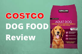 Kirkland dog food (sold at costco). Costco Dog Food For Great Danes An Owner S Guide Great Dane Care