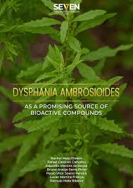 Image result for Dysphania ambrosioides