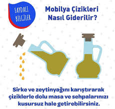 Arzu Sariboga Adli Kullanicinin Ev Duzeni Panosundaki Pin 2020 Sirke Zeytinyagi Bilgi