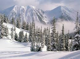 Ice Snowy Rocks Mountains Hd Background Wallpapers High Resolution Snowy Background 1600x1200 Download Hd Wallpaper Wallpapertip Glaciers of the tonale pass mountain. ice snowy rocks mountains hd background