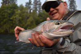 Rogue River Fly Fishing — Ashland Fly Fishing Blog