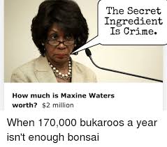 Just remembering the song and pressing play in my brain >>>> 336. The Secret Ingredient Is Crime How Much Is Maxine Waters Worth 2 Million Crime Meme On Awwmemes Com