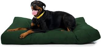 In addition, this elevated dog bed can be used for crate and it will fit in the standard size crate. 9 Best Indestructible Chew Proof Dog Beds 2021 Reviewed