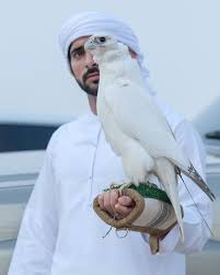 حمدان بن محمد بن راشد آل مكتوم‎) (born 14 november 1982) is the crown prince of dubai, united arab emirates. Sheikh Hamdan Crown Prince Of Dubai 4 Things To Know About The Politician Philanthropist Car Collector And Thrill Seeking Heir South China Morning Post