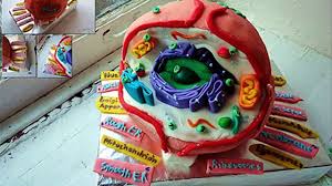 Check spelling or type a new query. Animal Cell Cake Project Video Dailymotion