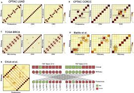 Represented by the crab, this oceanic crustacean seamlessly weaves between the sea and shore, representing cancer's ability to exist in both emotional and material. A Community Effort To Identify And Correct Mislabeled Samples In Proteogenomic Studies Sciencedirect