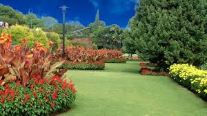 Nice Garden Background Video Flowers Background Video 842 Green Screen Footage Greenscreen Smoke Animation The best selection of royalty free garden background vector art, graphics and stock illustrations. nice garden background video flowers