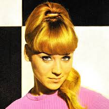 Sorel Ann vinyl, 33 LP records & CD found