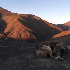 „die reise nach aserbaidschan war einfach wunderschön. Pin On Aserbaidschan Travel