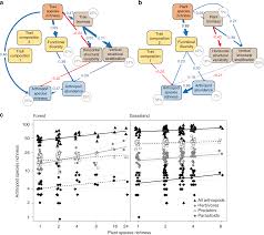 Maybe you would like to learn more about one of these? Multiple Plant Diversity Components Drive Consumer Communities Across Ecosystems Nature Communications