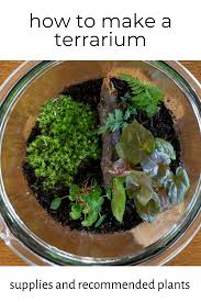 Pin On Growing Indoor Plants