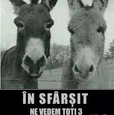 Cei mai prosti din curtea scolii. Mai Taie Din Ele Da Le Dracu Home Facebook