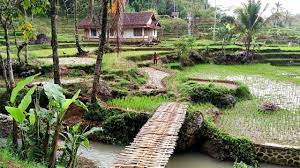 Rumah gubuk bambu yang sederhana. Satu Rumah Di Tengah Sawah Sejuk Bikin Betah Ngabuburit Cigamreng Garut Youtube