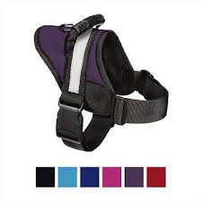 Hdp Big Dog No Pull Dog Harness Black Medium Chewy Com Dog Harness Big Dogs Dogs