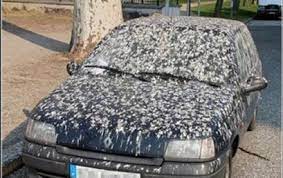 Ikutlah panduan yang apa lagi korang pasang lah balik kat kereta korang tu. Cara Cat Kereta Cap Burung