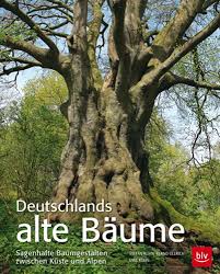 Deutschlands Alte Baume Gartenzauber Alte Baume Baum Baume Garten