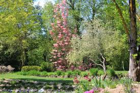 La découverte d'un endroit extraordinaire passion des trains, passion des plantes. The Jardin Des Martels Is A Superb Garden To Visit In The Tarn Department Of France