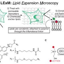 Kane Wu's research works