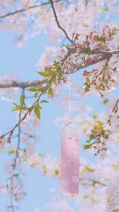 Bikin kamu mupeng pengin ke jepang buat lihat bunga sakura! 28 Trendy Aesthetic Wallpaper Pastel Green Simpleaestheticwallpaper 28 Trendy Aesthetic Wallpaper Pastel Green 63557056 Bunga Sakura Lonceng Angin Poster Bunga