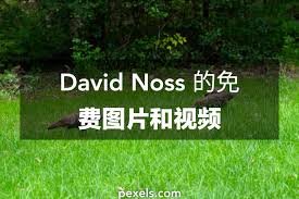 David Noss