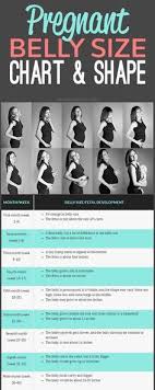 Pregnant Belly Size Chart And Shape Things That We May Not