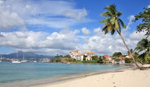We did not find results for: Anse Mitan Az Martinique
