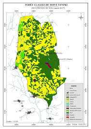 Image result for Warneckea walikalensis