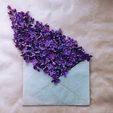 Roblox usernames is a list of all cute, aesthetic, unique, and rare usernames. Image About Vintage In Aesthetic Lavender By Min Aeri