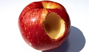 As well as learning the tips of the trade from top chefs, you''ll be able to enjoy the fruits of your labours at lunchtime. Eve And The Forbidden Fruit Alimentarium