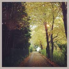 pin on bad soden am taunus