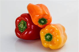 Image result for Capsicum