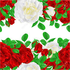 Square floral label frame arranged from leaves and flowers. Floral Horizontal Border Seamless Background Red And White Roses With Buds And Leaves Vintage Vector Illustration For Use In Interior Design Artwork Dishes Clothing Greeting Cards Packaging Royalty Free Cliparts Vectors And Stock