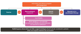 Image result for Low Back Pain Management