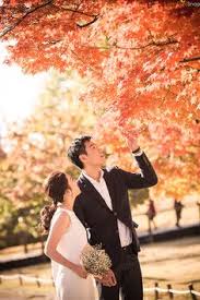 Gambar preweding begron fu / dominik bali wedding. 37 Ide Prewed Hutan Bambu Foto Perkawinan Fotografi Perkawinan