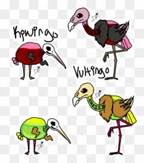 Your first step to drawing a kiwi is the head. Kiwi Bird Drawing Kiwi Free Transparent Png Clipart Images Download