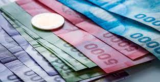 Para acceder al bono clase media 2021 se requieren ingresos mensuales entre $ 408.125 y $ 1.500.000 ; Wr3a6iputcyfjm