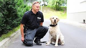 Pies Maniek pomógł odnaleźć zwłoki zaginionego - KoszalinInfo