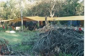 Free firewood jimboomba clear all. The Camping Area