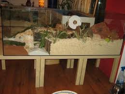 Pin Von Kaycee Chang Auf Hamster Stuff Hamster Gehege Hamster Lebensraum Hamsterhaus