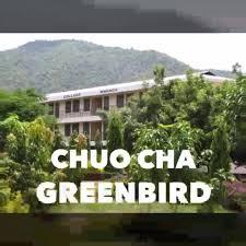 Jiunge Sasa Na Stashahada Ya Ualimu Wa Greenbird Education Institution