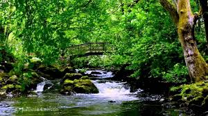 Pin On Relaxing Music S Video S