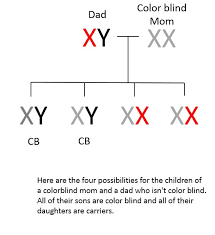 Understanding Genetics