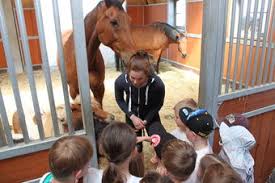In totaal gingen negen hengsten over de 8,5 gemiddeld voor de springonderdelen in de test. Im Stall Mit Nationalspieler Thomas Muller Bw Agrar Online Landwirtschaftliche Informationen Fur Baden Wurttemberg