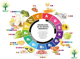 Pin By Alberto Saiz Oria On Yo School Nutrition Relationship Advice Quotes Diet And Nutrition